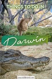 Things To Do In Darwin Australia Darwin Australia Australia Travel Guide Australia