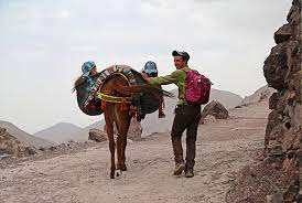 Mules et Muletiers dans le Haut Atlas - Imlil Village