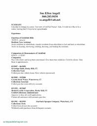 New Sample Job Application Letters Resume Examples Resume Objective Statement Career Change Resume