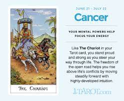 Read your free cancer daily horoscope to find out what the universe has in store for you today. Tarot Cards For Each Zodiac Sign Cancer Tarot Tarot Cards Tarot
