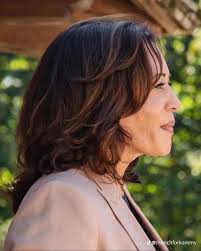 Kamala Harris Supporters Express Disappointment and Frustration After  Election