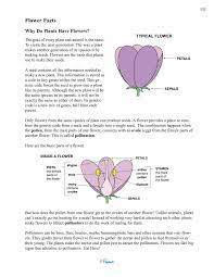The parts of a flower & homework. Flower Parts And Pollination
