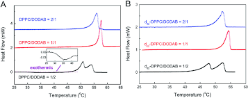 Conventional Dsc Results For The Concentrated 25 Wt Dppc Dodab A Download Scientific Diagram