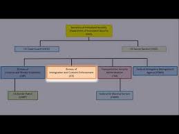 Hls Sem1 Dhs Org Chart