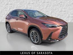 Image result for Autumn Shimmer 2018 NX