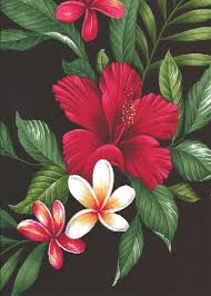 Pin By Renato Hiroshi On Life Is A Long Vacation Hawaiian Flower Drawing Flower Drawing Hawaiian Flowers