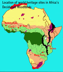 Safari 2000 nbi vegetation map of the savannahs of southern africa. Woodlands African World Heritage Sites