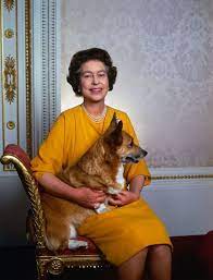 Ma Am S Best Friend Queen Most Amused At Meeting Corgis On Tour Corgi Queen Her Majesty The Queen Corgi