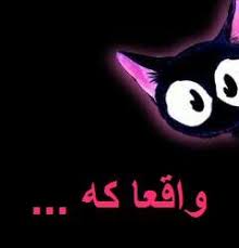 Image result for tbn:Ao0Usy--_pPGEM::www.mekshat.com/pix/upload/images49/mk42658_houssparrow.jpg