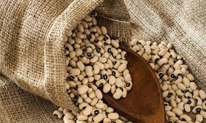 We did not find results for: Fagioli Dall Occhio Proprieta Benefici E Come Prepararli Greenme