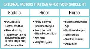 Saddle Fit For Horse And Rider Equine Wellness Magazine
