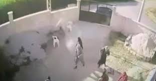 Son dakika haberleri, en güncel flaş haberler, gündem, siyaset, ekonomi, memurlar, televizyon, spor, magazin, yaşam ve dünya haberleri, video ve galerileri. Uijeqrrofmzl4m