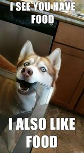 Funny Animal Pictures Of The Day 24 Pics Funny Animal Jokes Funny Animals Cute Funny Animals