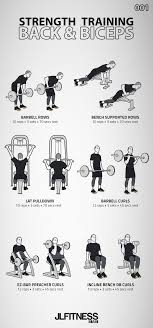 Back And Bicep Exercises At Home Outlet Www Spora Ws