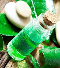 Use as a refresher and leave in your hair. 31 Amazing Benefits Of Tea Tree Oil For Skin Hair And Health