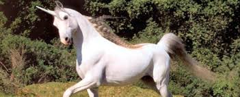 Los juegos olímpicos de tokio 2020, oficialmente conocidos como los juegos de la xxxii olimpiada. Pues Si Los Unicornios Existieron Pero No Son Como Nos Los Habiamos Imaginado