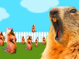 Jul 23, 2021 · the only way to get rid of burrowing animals is to get rid of them. Facts About Groundhogs And Why It S Hard To Get Rid Of Them