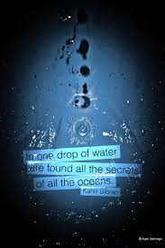 Share motivational and inspirational quotes about drop of water. Quotes About Drop Of Water 81 Quotes