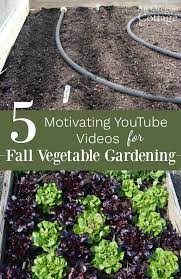 Over 500,000 people use growveg.tv every month. Fall Gardening Ideas 5 Motivating Videos For Vegetables An Oregon Cottage