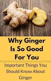 Why Ginger Is So Good For You Important Things You Should Know About Ginger Gesundheit Und Fitness Gesunde Ernahrung Fitness Tipps
