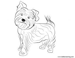 Free jesus birth coloring page download clip art 4i9axz55t is. Free Yorkie Puppy Coloring Pages Yorkie Dog Coloring Pages Free Printable Coloring Pages Yorkie Free Puppy P Puppy Coloring Pages Dog Coloring Page Sketch Free