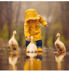 Pin By Felicia M On Animales Animals Cute Animals Animals For Kids