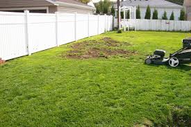 Maybe you would like to learn more about one of these? Lawn Grubs How To Identify Get Rid Of And Prevent Them Dengarden