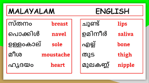 Cucumber is stated to have originated from india with many. Essential Words In English Malayalam Parts Of Human Body Youtube
