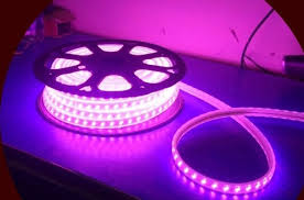 5730 Double Led Rope Light At Rs 80 Meter Pune Id 20375289430