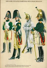 Dragons De L Imperatrice Sous Lieutenant Et Mal Des Logis M Petard Dragons Costume Militaire Guerre Napoleonienne