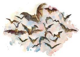 Swarm Of Bats Monsters D D Beyond