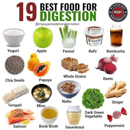 🔥 19 Best Foods for Digestion 🔥 The digestive tract plays a vital role in  your health, as it's responsible for absorbing nutrients and eliminating  waste. Unfortunately, many people suffer from digestive
