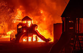 Deadly LA wildfires to cost over $50 ...