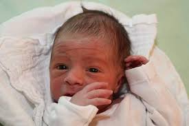 Dejte svůj hlas Nej miminku narozenému v lednu 2017