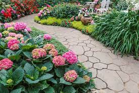 Hanging types bloom more profusely, but upright strains have larger flowers. 10 Plants For A Shaded Walkway Garden Lovers Club