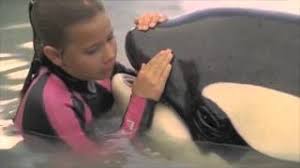 kirra will miss willy so much(with music from pocahontas)