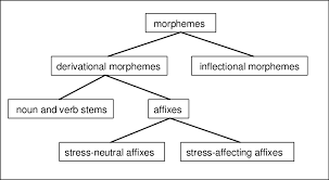 Check spelling or type a new query. Family Tree Of English Morphemes Download Scientific Diagram