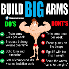 How often should i train? Pin On Muscles