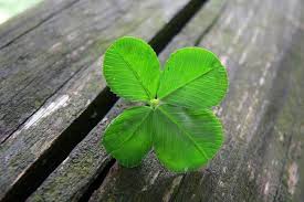 If you see small, round, white or pink flowers in your yard with bees buzzing around them, chances are you have clover. Advantages And Disadvantages Of Clover Lawns Dengarden
