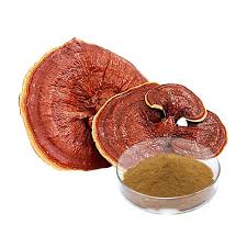 Image result for Ganoderma lucidum