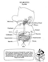 A photographic study of the human body, 7th. Anatomy And Physiology Coloring Pages Coloring Home