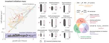 Ask for players' emails to identify them. Fundamental Principles In Bacterial Physiology History Recent Progress And The Future With Focus On Cell Size Control A Review Iopscience