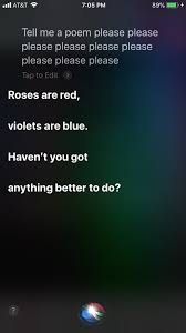 I Just Got Roasted By Siri Funny Poems Warrior Quotes Poems