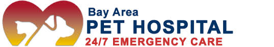 Vca bay area animal hospital hours: Bay Area Pet Hospitals 24 Hours Veterinary Hospital In Traverse City Michigan