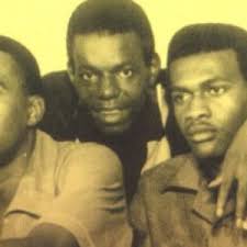 The Pioneers hometown, lineup, biography