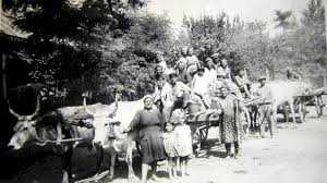 Cele mai bune nume de familie pot fi găsite în acest articol. Din Ce ZonÄ A Romaniei Provine Numele TÄu De Familie