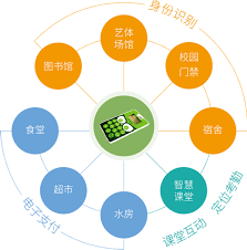 智慧一卡通 焦点智慧校园 pie chart chart diagram