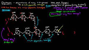 Pin By Wei Siong On Biology Human Life Body Science Board Structure And Function Biochemistry Biology