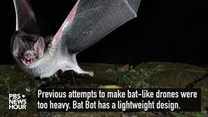 As i have said before, this bot is just plain cool! A Bat Bot Takes Flight Pbs Newshour