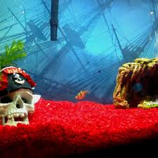 Check spelling or type a new query. Love The Background Fish Tank Saltwater Fish Tanks Pet Fish